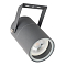 ARTE LAMP A3303AL-1GY