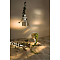 Divinare 1243/06 SP-22